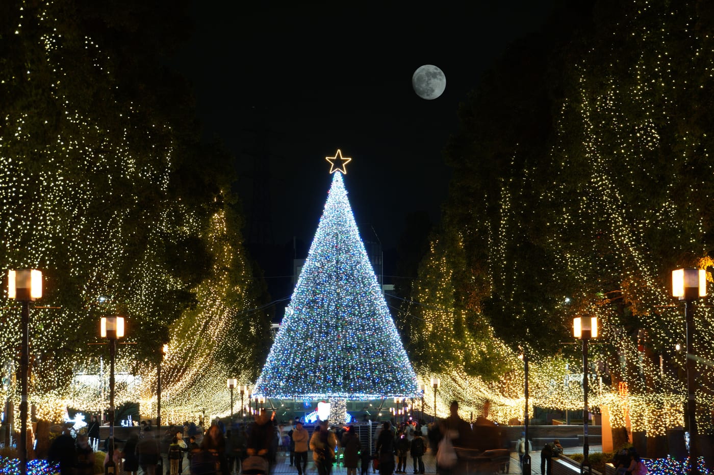 Natal